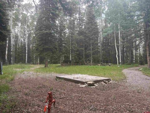 140 Crest Drive Cimarron CO 81220