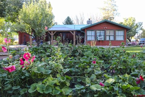 10341 Tongue Creek Road Austin CO 81410