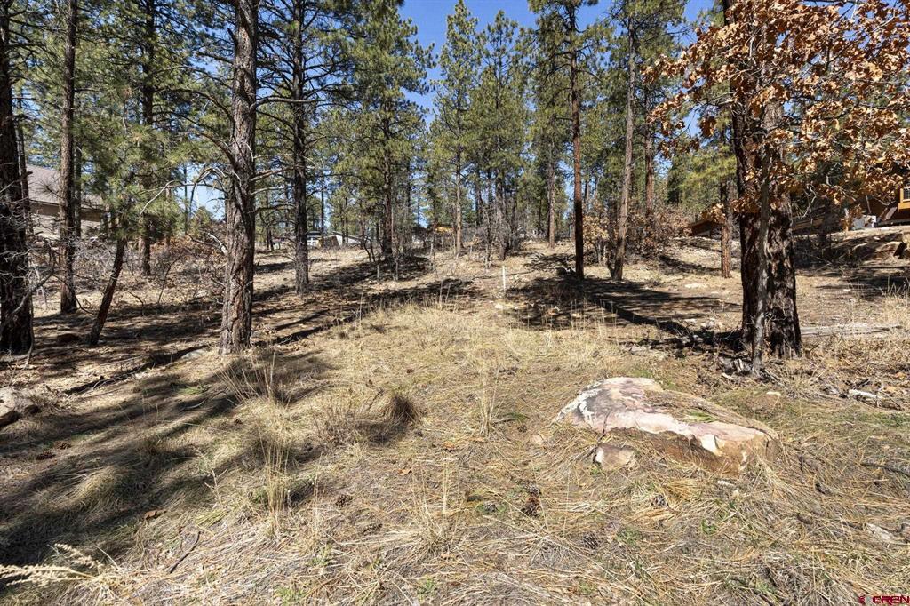 192 Cabin Creek Drive