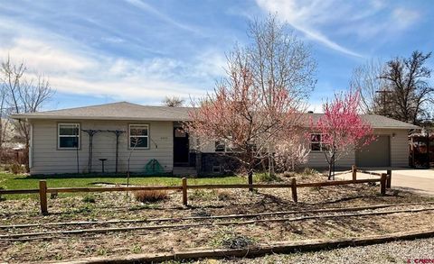 Photo of 1515 2nd Street, Paonia, CO 81428 (MLS # 832959)