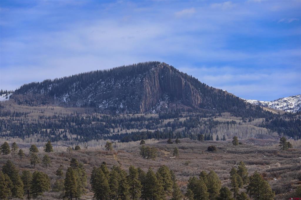 163 Regal Pines Court