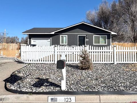 123 Twelfth Street Alamosa CO 81101