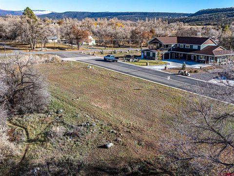 520 SE Stonebridge Drive Cedaredge CO 81413