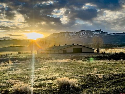 1071 Black Canyon Road Crawford CO 81415