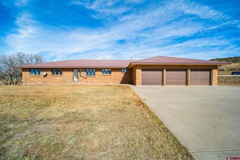 915 N Wilmer Drive Bayfield CO 81122