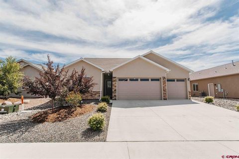 Photo of 1424 Owl Creek Avenue, Montrose, CO 81401 (MLS # 834511)