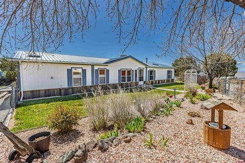 Photo of 25396 Lone Pine Road, Cedaredge, CO 81413 (MLS # 833961)