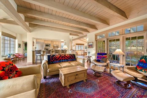 255 Bear Cub Drive Ridgway CO 81432