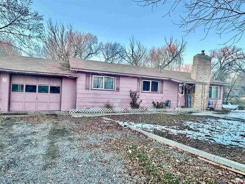 14211 Highway 65 Eckert CO 81418