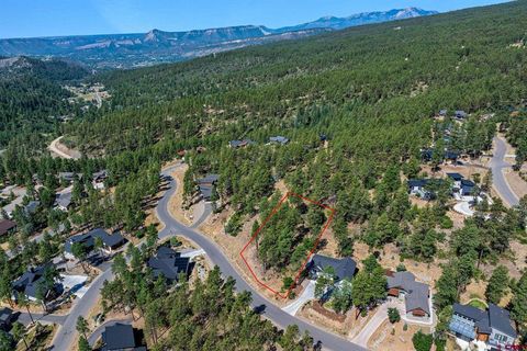 119 Cabin Creek Drive Durango CO 81301