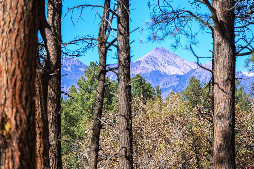 3051A County Road 200