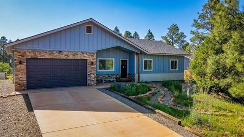 Photo of 1223 Trails Boulevard, Pagosa Springs, CO 81147 (MLS # 833346)