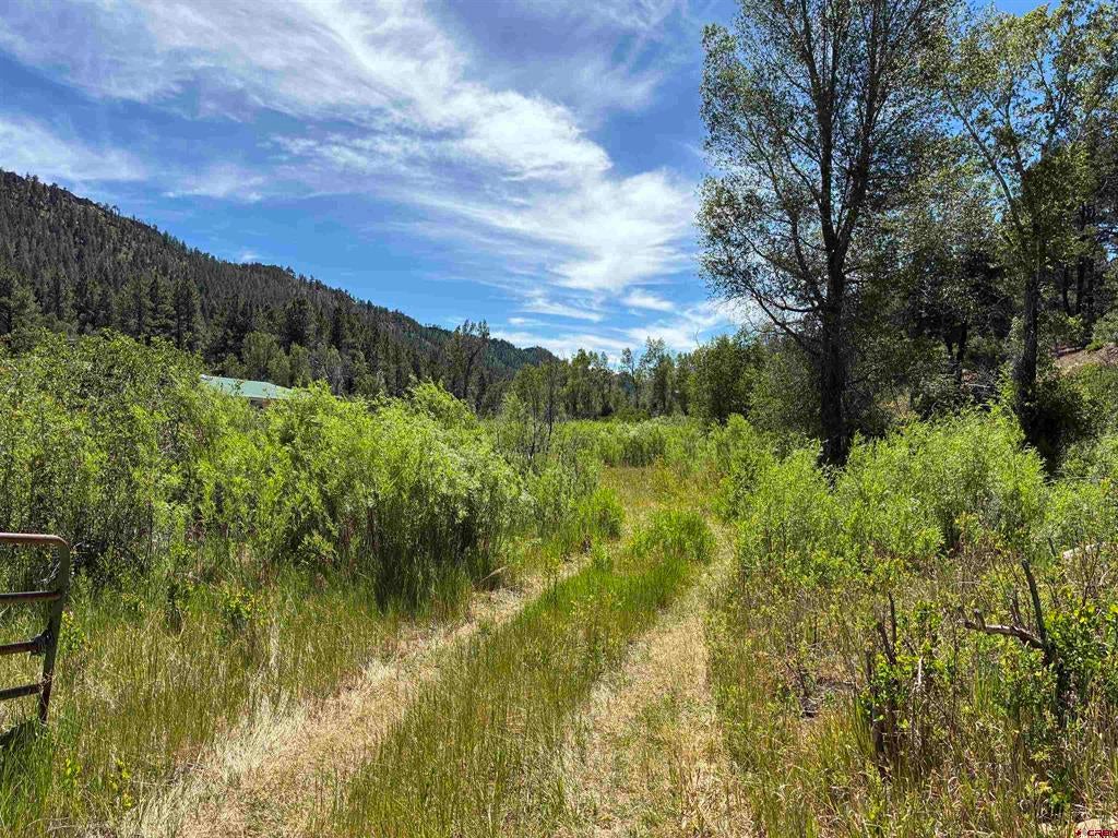 3230 Bear Creek Road