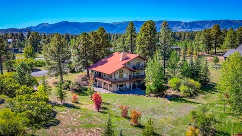 171 Glen Eaton Drive Pagosa Springs CO 81147