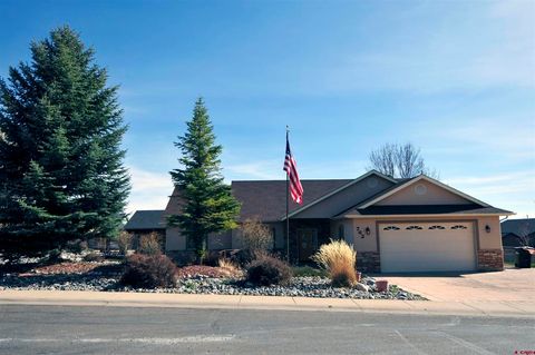 762 Daylily Drive Bayfield CO 81122