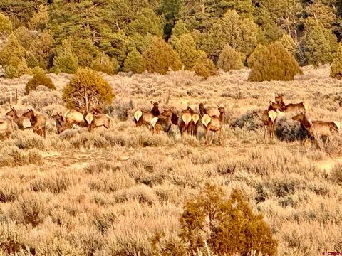 000 96 & 595 Highway Wilderness Ranch Regina NM 87046