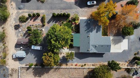 20622 Del Ray Drive Eckert CO 81418