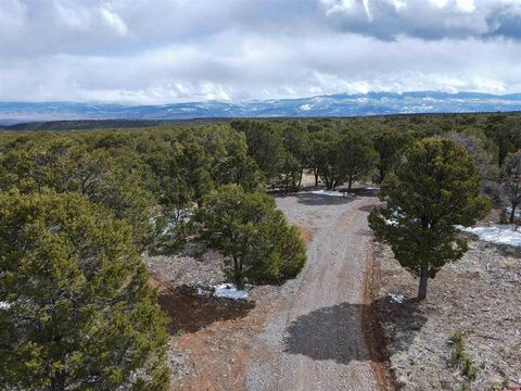 Photo of 1065 Canyon Ridge, Montrose, CO 81403 (MLS # 822670)