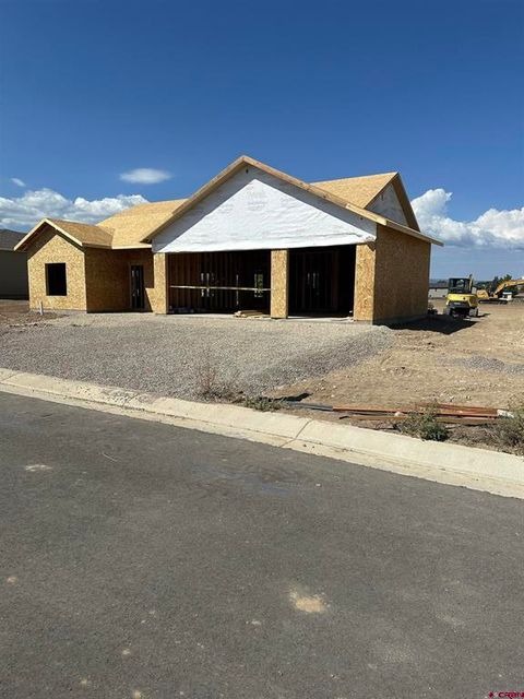 1786 6429 Circle Montrose CO 81403