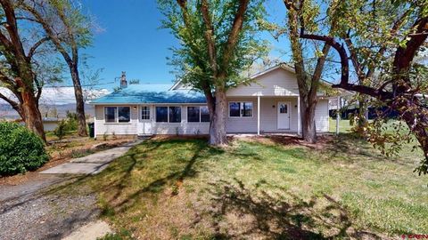 Photo of 11481 Crawford Road, Paonia, CO 81428 (MLS # 834360)