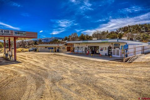 53 County Road 982 Arboles CO 81121