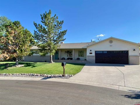 Photo of 1638 Ironton Court, Montrose, CO 81401 (MLS # 831989)