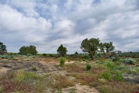 Lot 1 Road 24.3 Cortez CO 81321
