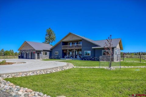480 Scenic Avenue Pagosa Springs CO 81147