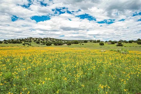 000 Omega Road Cat Hill Quemado NM 87829