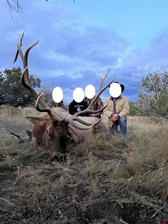 000 Omega Road Cat Hill