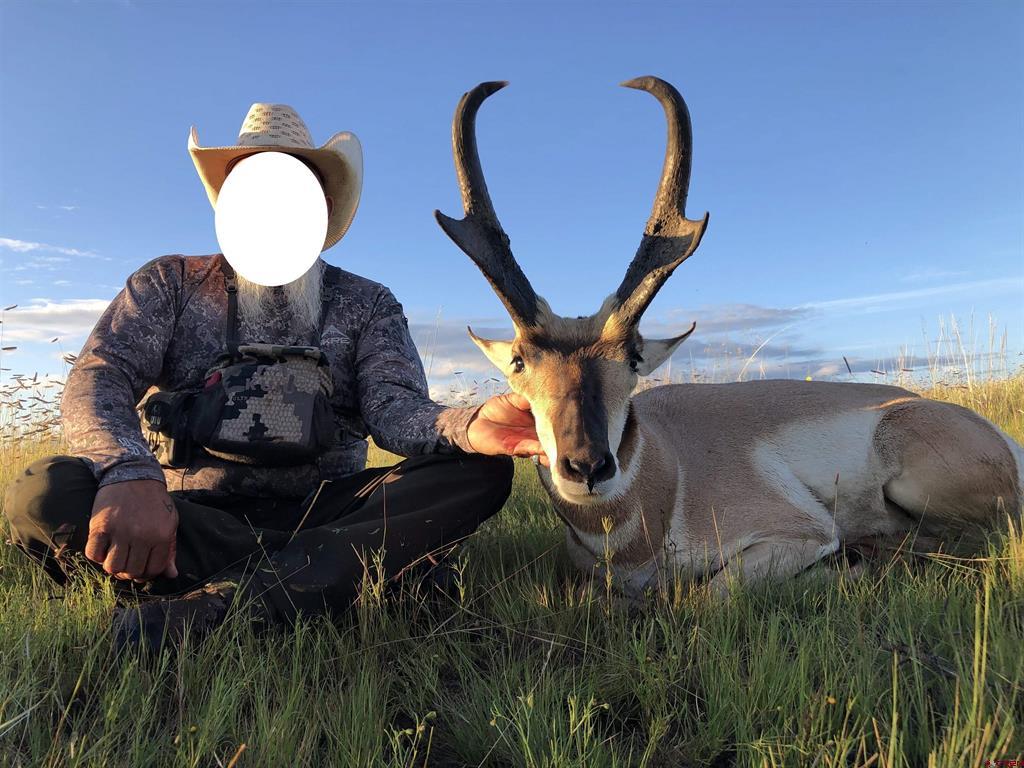 000 Omega Road Cat Hill