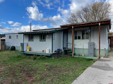 658 S 6th Street Pagosa Springs CO 81147