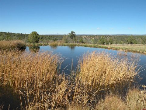Photo of 35001 4000 Road, Norwood, CO 81423 (MLS # 829341) Photo of 35001 4000 Road, Norwood, CO 81423 (MLS # 829341)