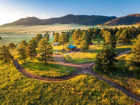 2299 CR 328 Westcliffe CO 81252