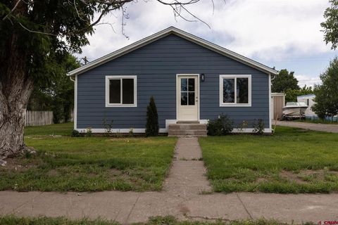 379 W 2nd Street Center CO 81125