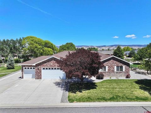 Photo of 2917 Paintbrush Way, Montrose, CO 81401 (MLS # 834623)
