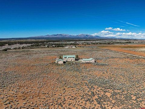 3391 County Road 101 Hesperus CO 81326