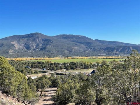 440 Run Around Road Arboles CO 81121