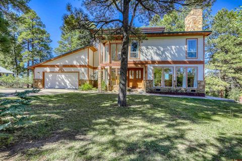 2498 Park Avenue Pagosa Springs CO 81147