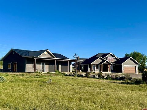 Photo of 58797 Mallard Court, Montrose, CO 81403 (MLS # 834611)