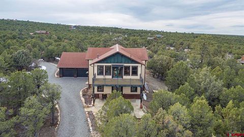 41 Oak Road Ridgway CO 81432