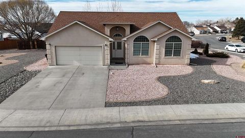 3215 Meadows Parkway Montrose CO 81401