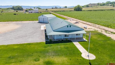 11604 5800 Road Montrose CO 81403