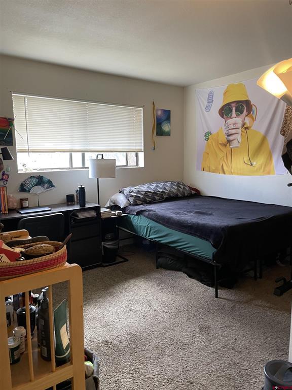 1206 Avenida Del Sol