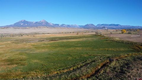 Photo of 34607 F50 Road, Crawford, CO 81415 (MLS # 829690)