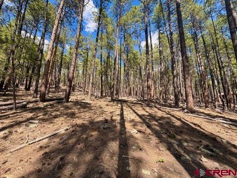 249 Timber Drive Bayfield CO 81122