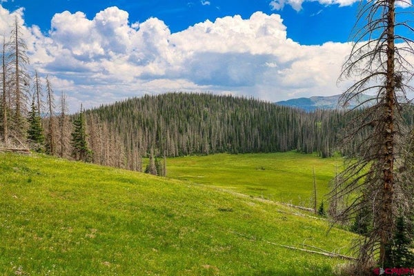 ADDRESS PRIVATE, ANTONITO, CO 81120 - Image 8ded1907139dfcfa7cb2dcbb1a8d2230/31474485