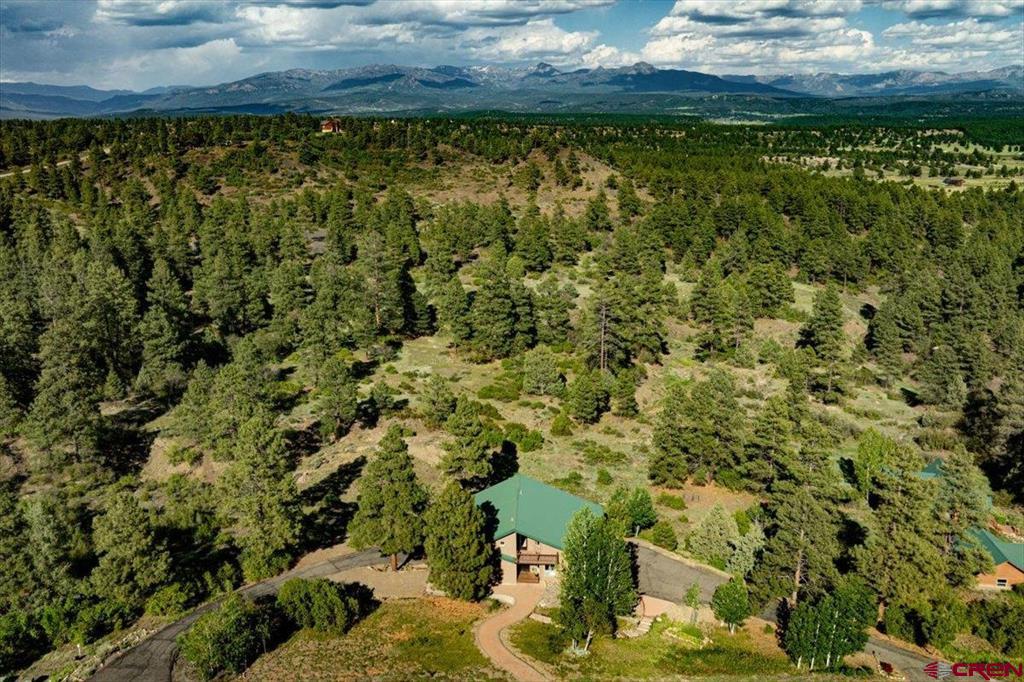 1211 Cool Pines Drive