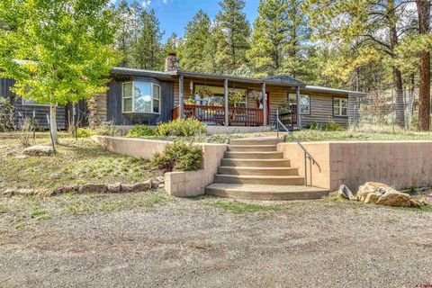1220 County Road 400 Pagosa Springs CO 81147