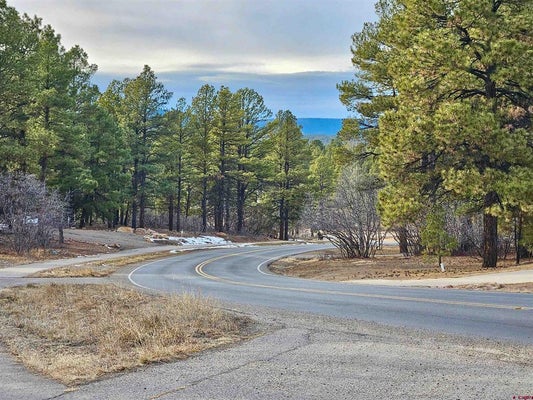 458 ANTELOPE AVE, PAGOSA SPRINGS, CO 81147 - Image 8e74a7d0afcc4dc2d76bdf6fb6ecc9e3/1126933961